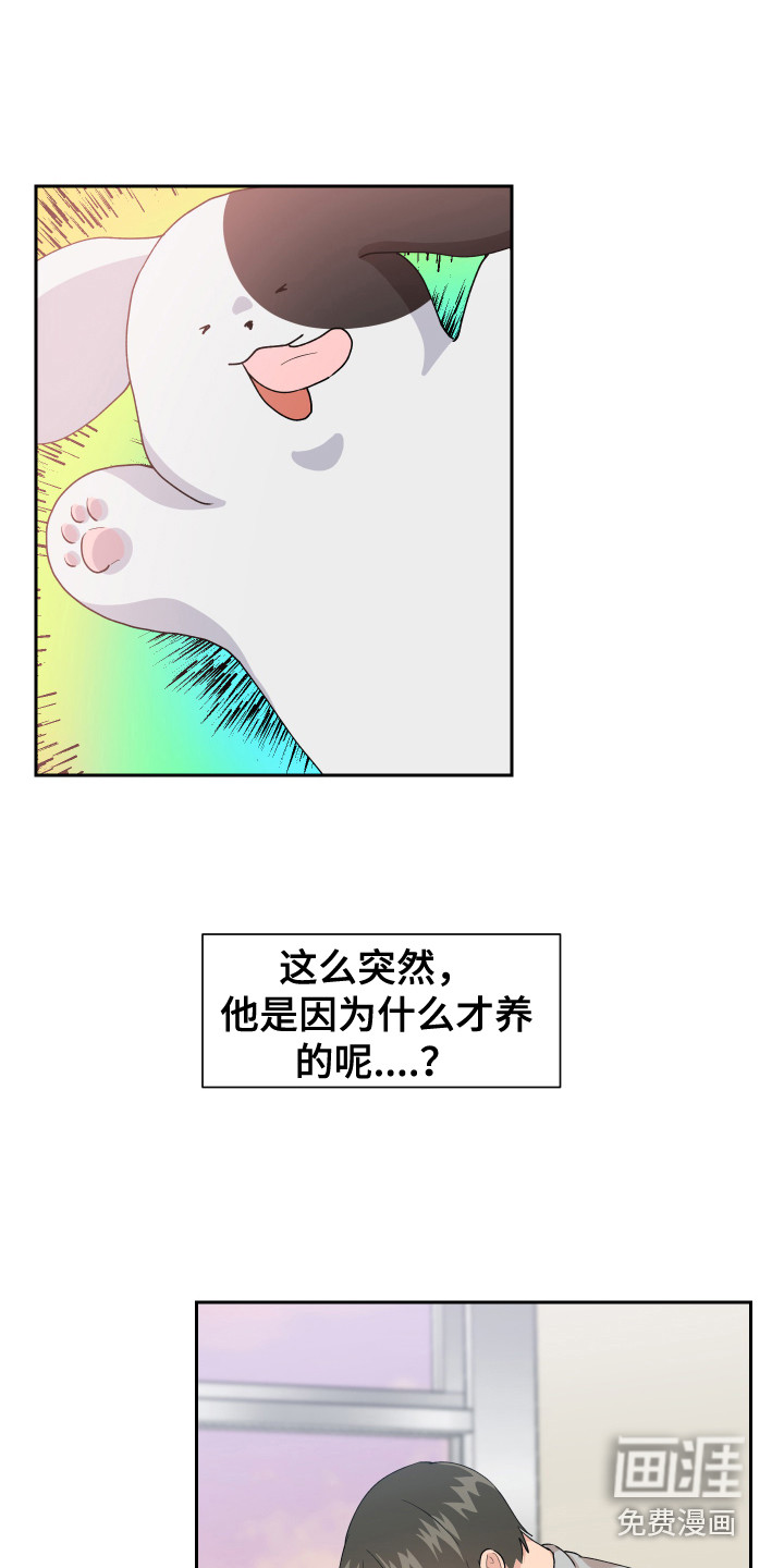 荒唐的愿望第13话图