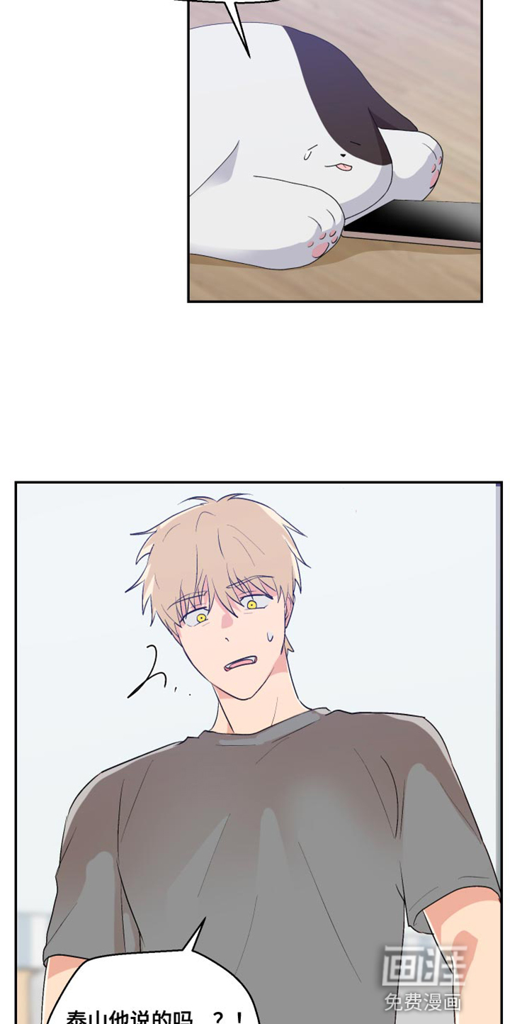 荒唐的愿望第18话图