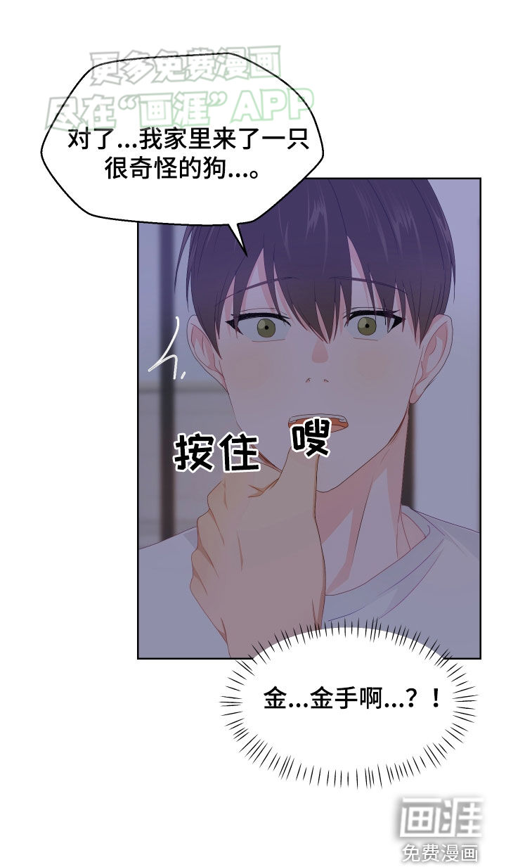 荒唐的愿望第48话图