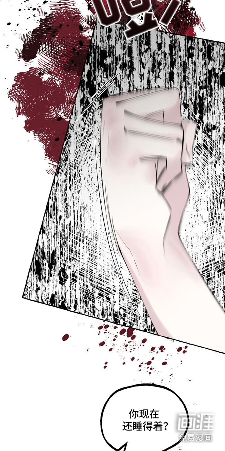 皇宫院子里的狗第12话图