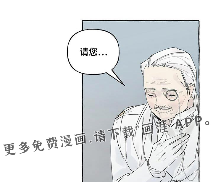 皇宫院子里的狗第18话图