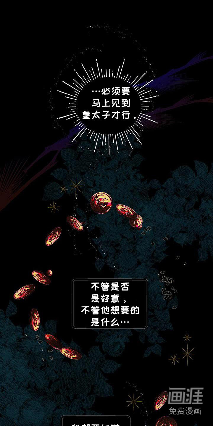 皇宫院子里的狗第29话图