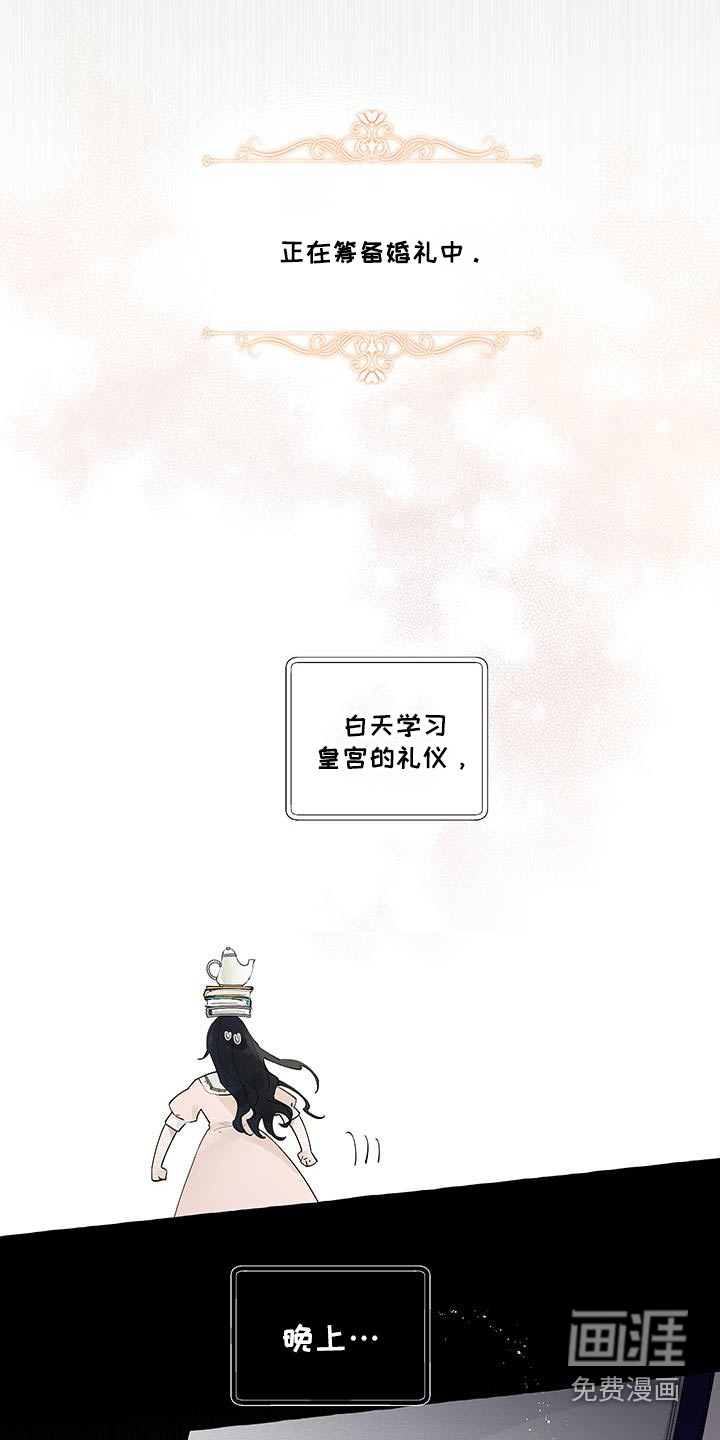 皇宫院子里的狗第37话图