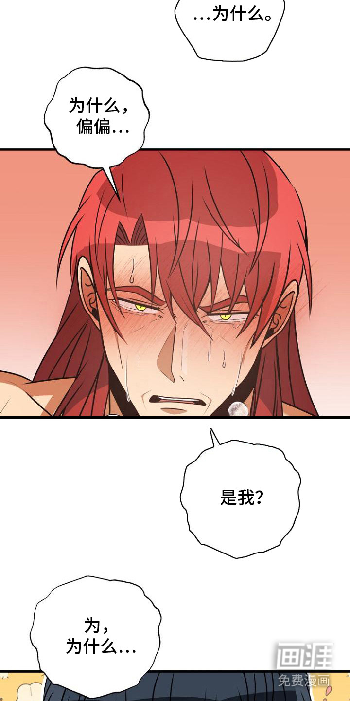 皇家教师第5话图