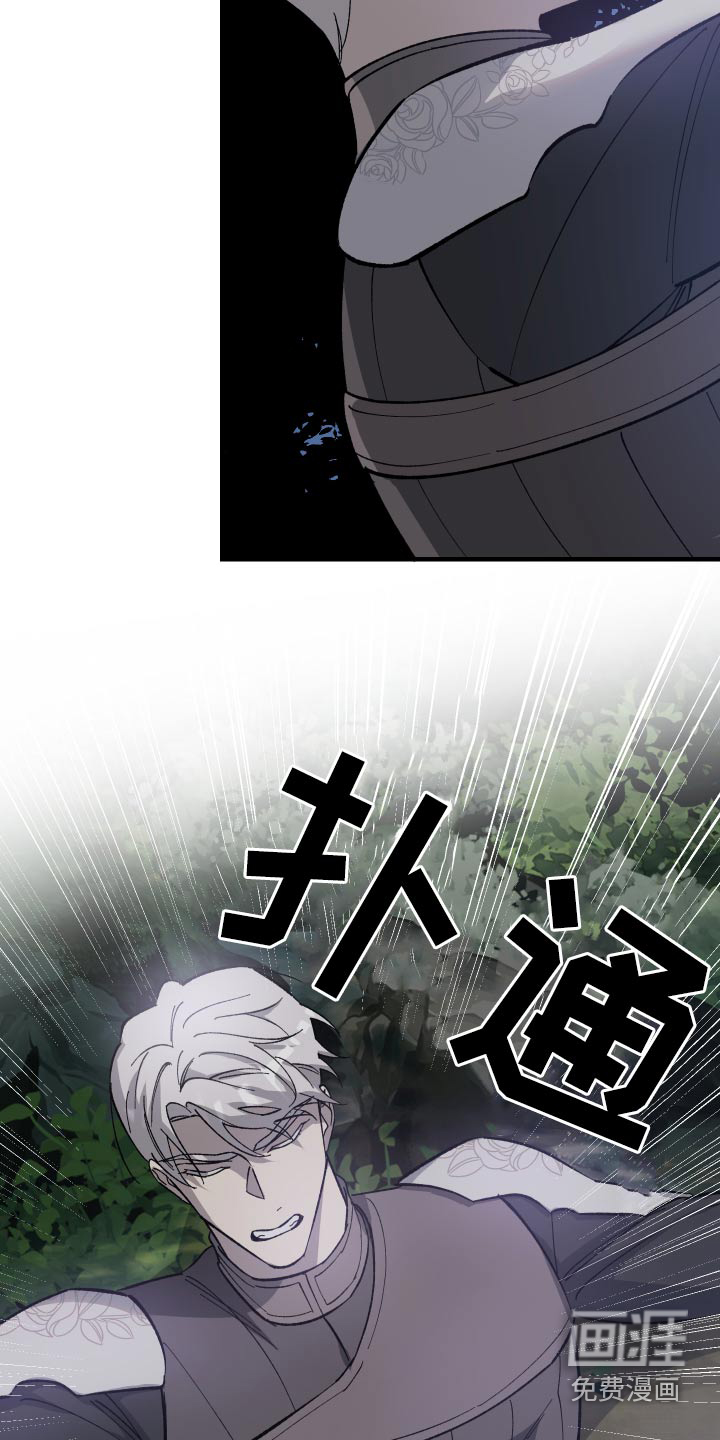 黑白奏曲第33话图