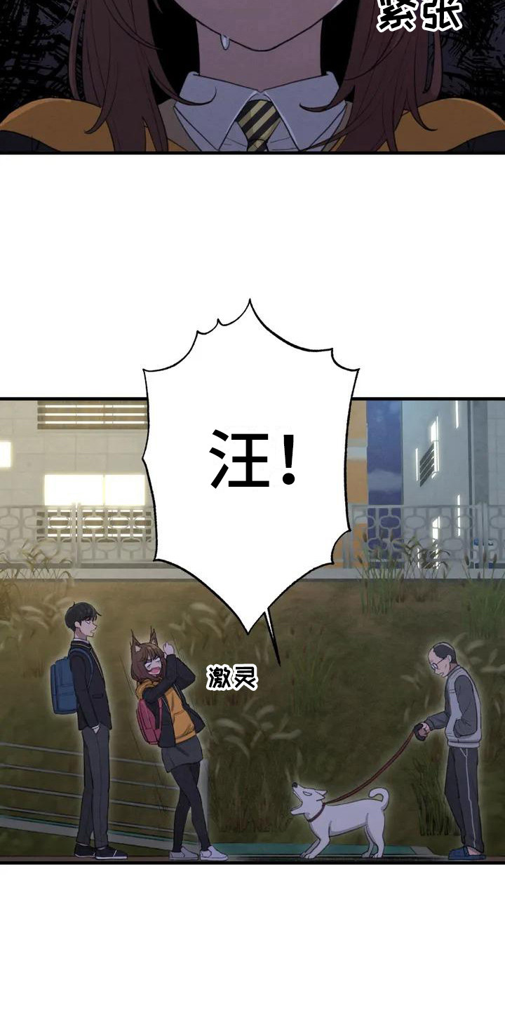 狐狸灵珠第3话图