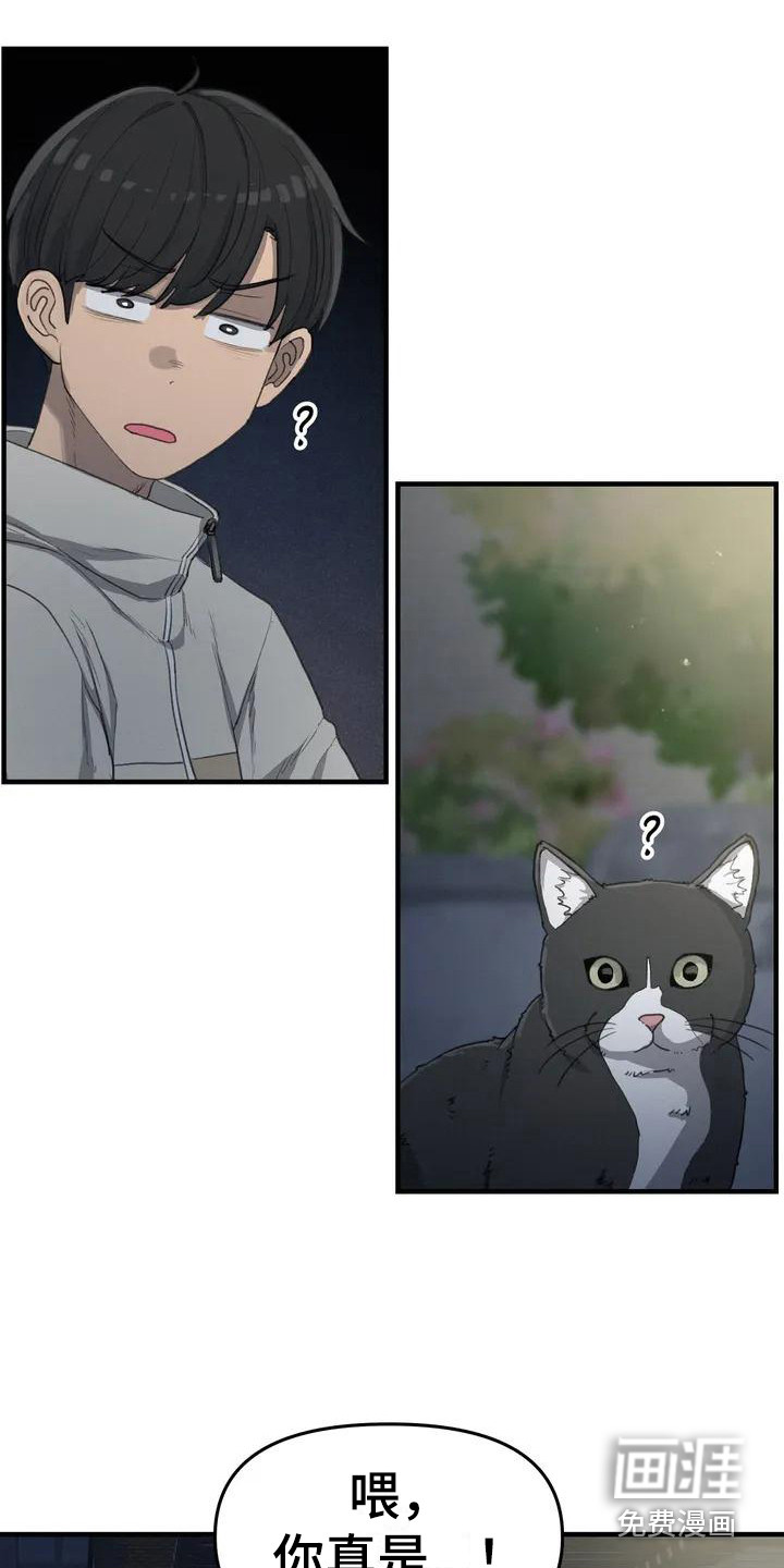 狐狸灵珠第30话图