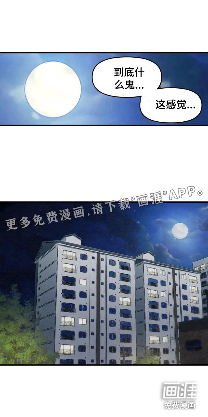 狐狸灵珠第8话图