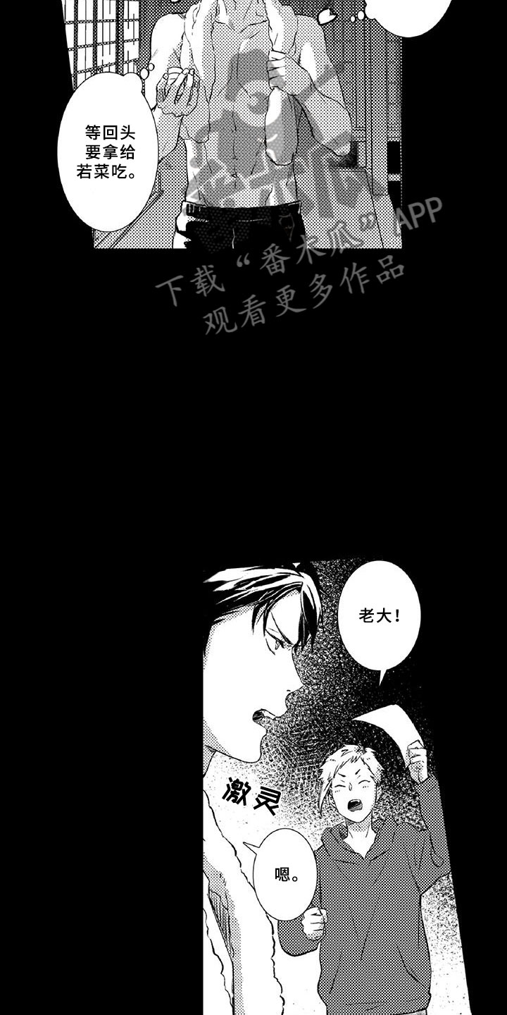 黑道之恋第16话图