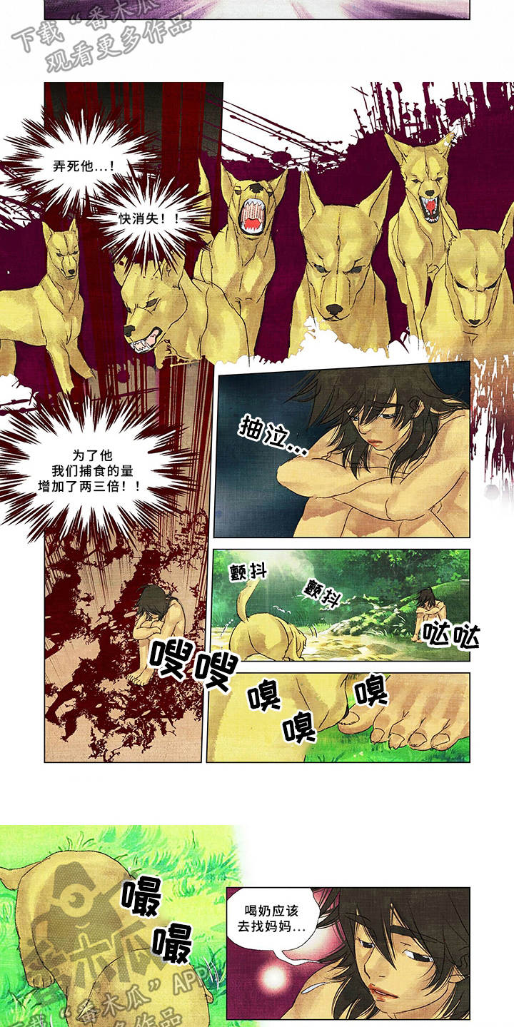 荒岛漂流者第14话图