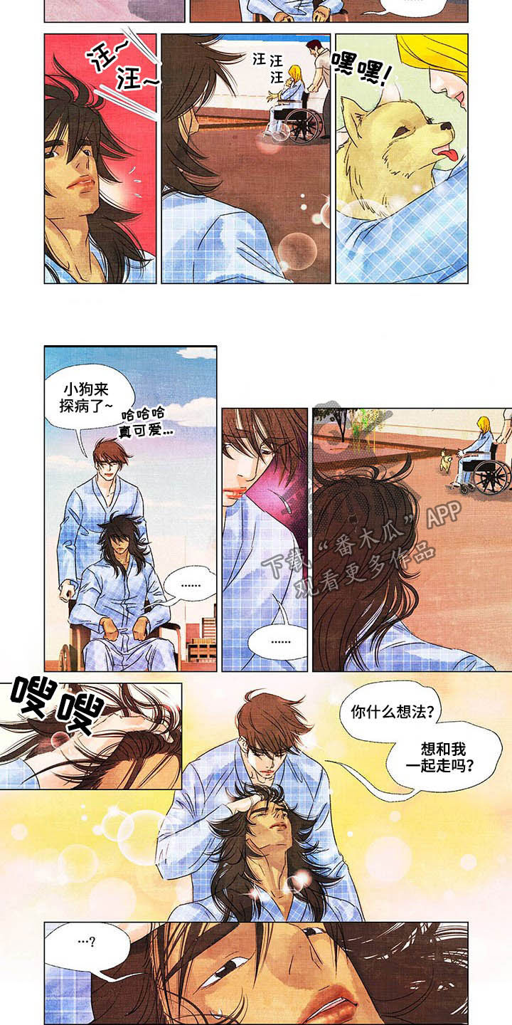 荒岛漂流者第19话图