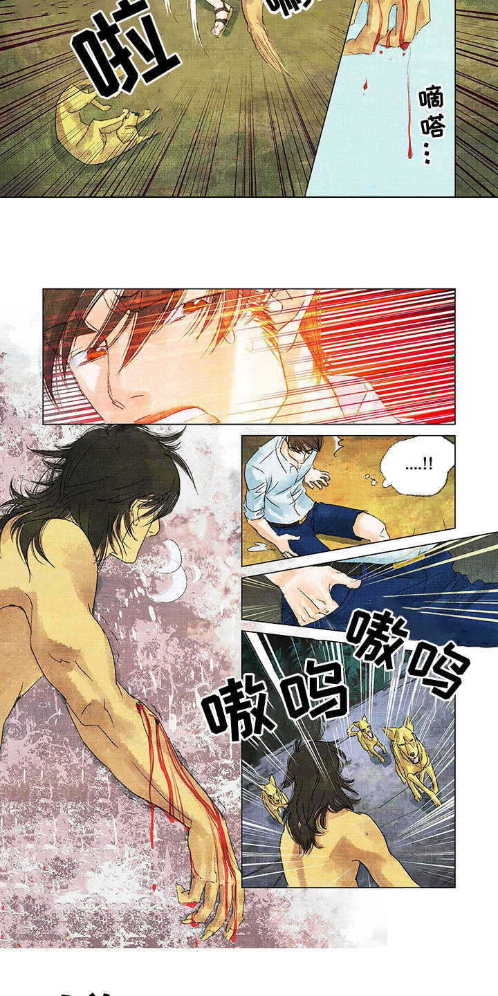 荒岛漂流者第2话图