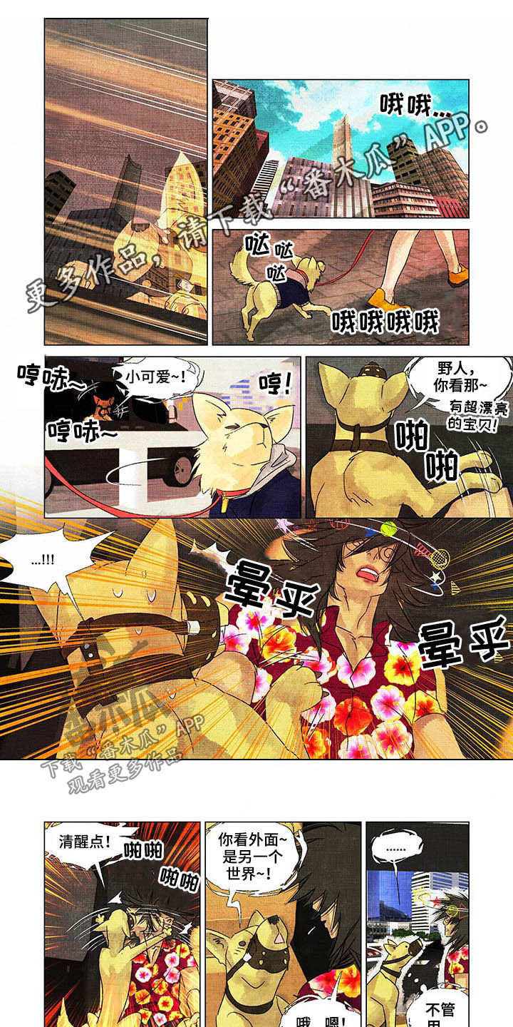 荒岛漂流者第21话图