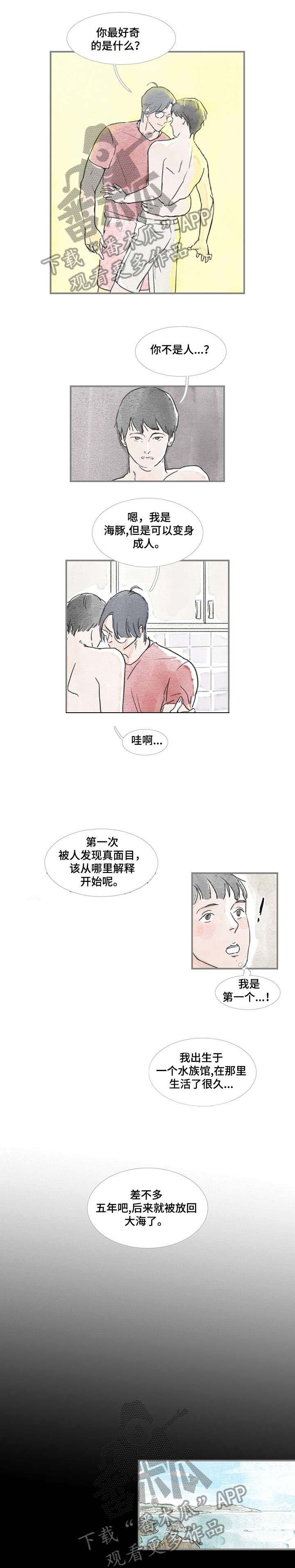 海豚教练第17话图