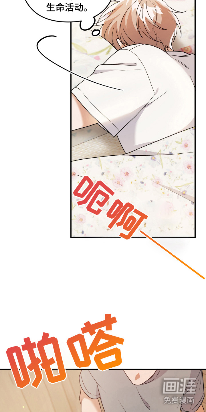 灰熊的玫瑰住宅第16话图