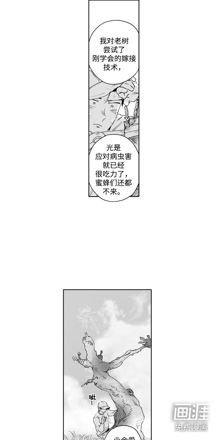 红苹果乐园第7话图