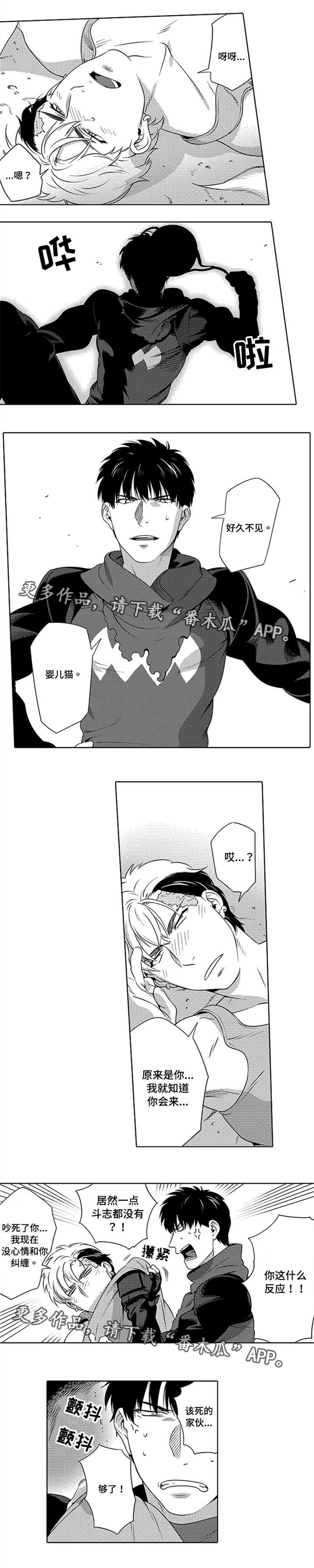 黑暗行动第6话图