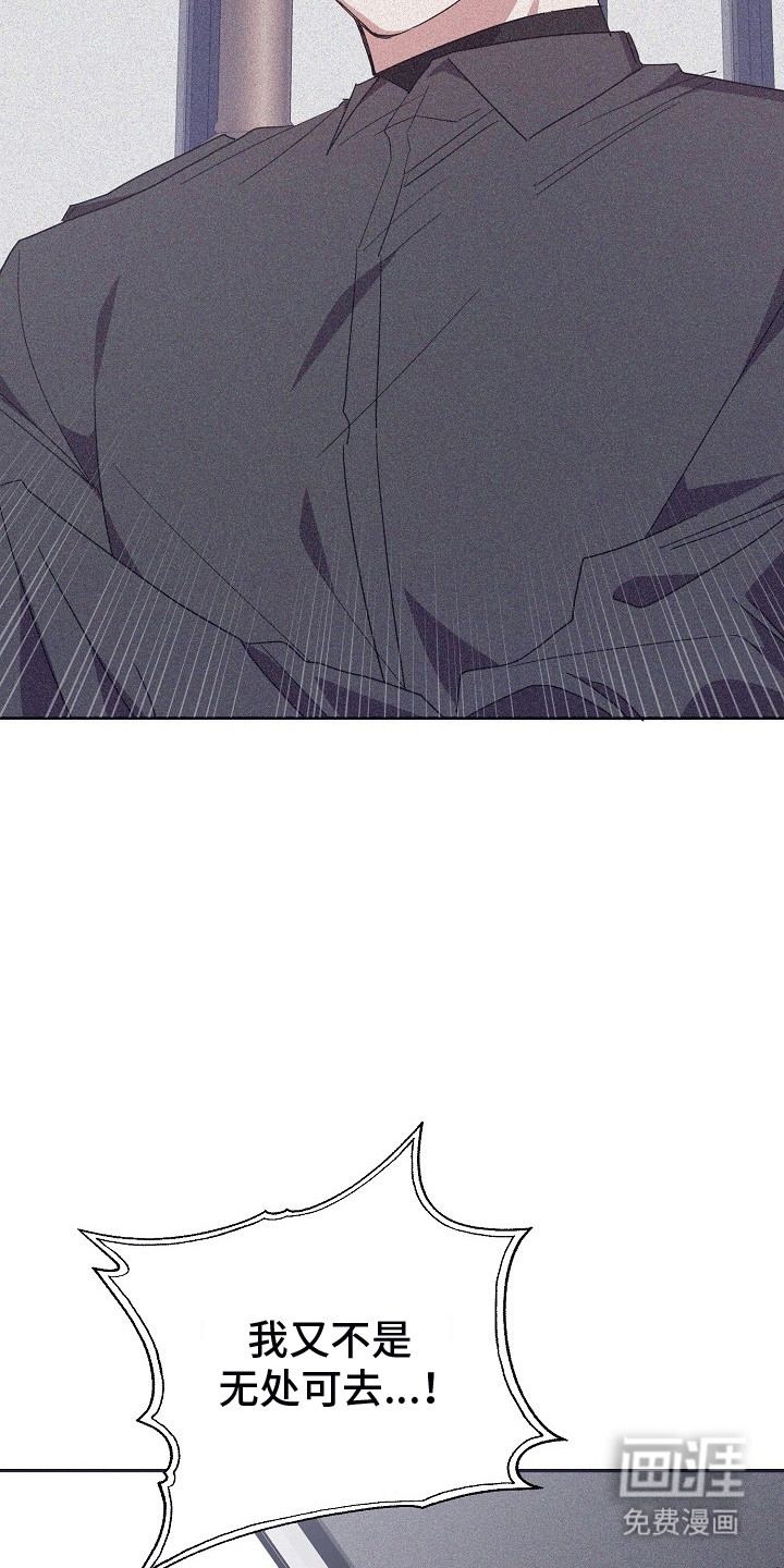 合适的温度伙伴第1话图