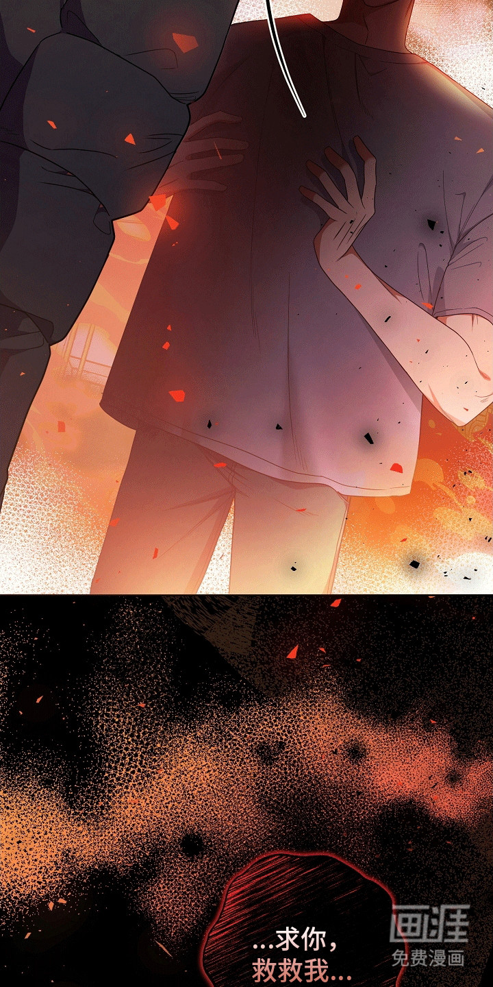 合适的温度伙伴 第13话 第17页