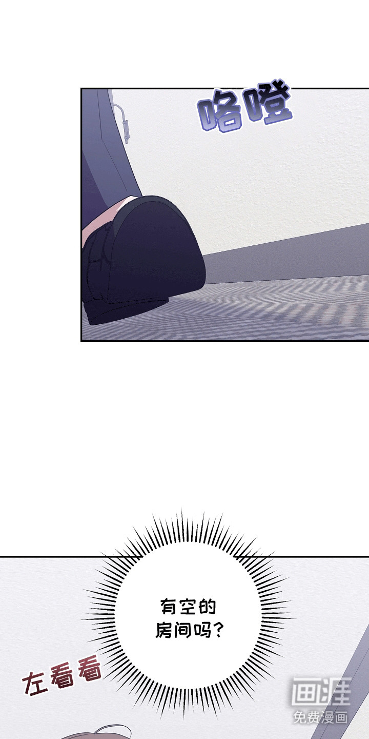 合适的温度伙伴 第15话 第12页