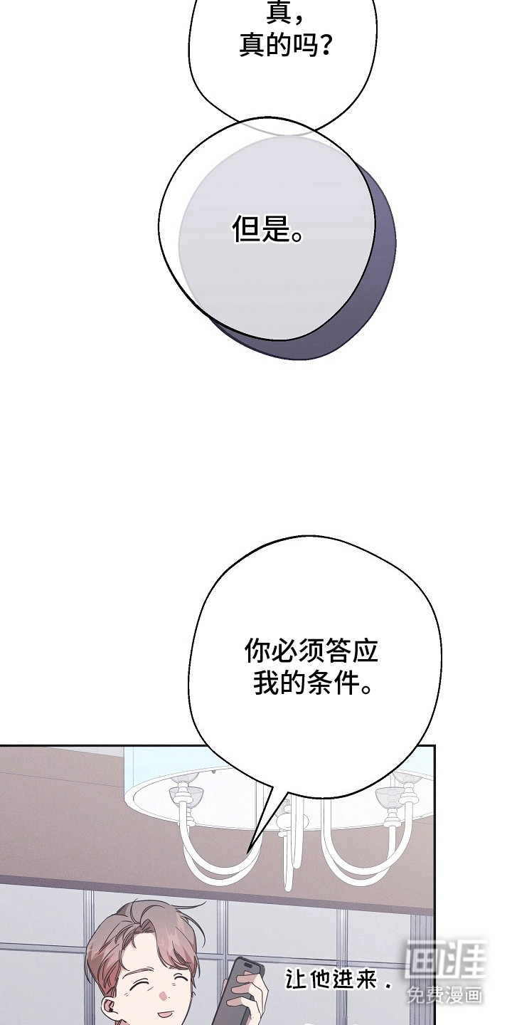 合适的温度伙伴第2话图