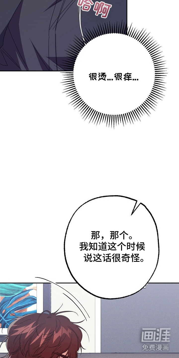 合适的温度伙伴第5话图