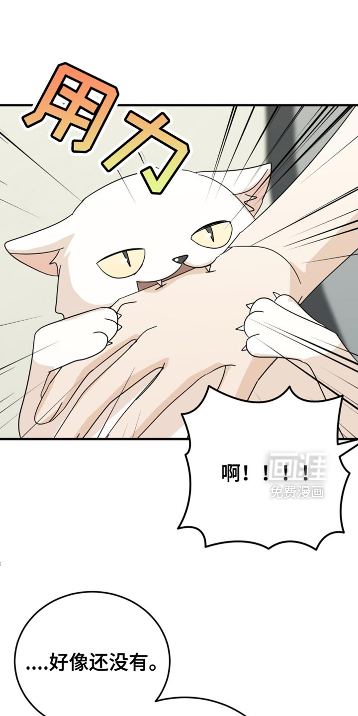 互补人生 第21话 第17页