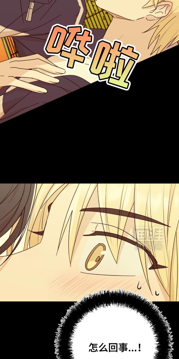 互补人生第28话图