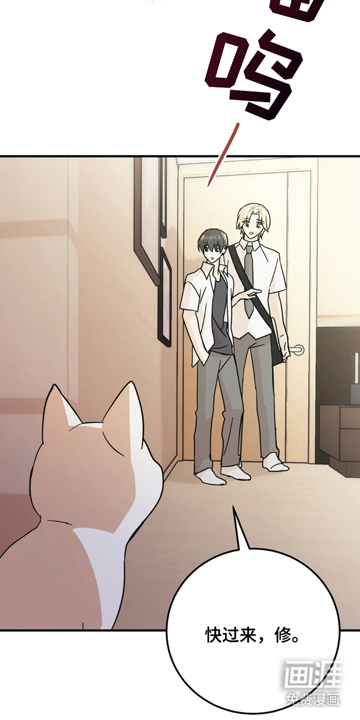 互补人生 第8话 第2页