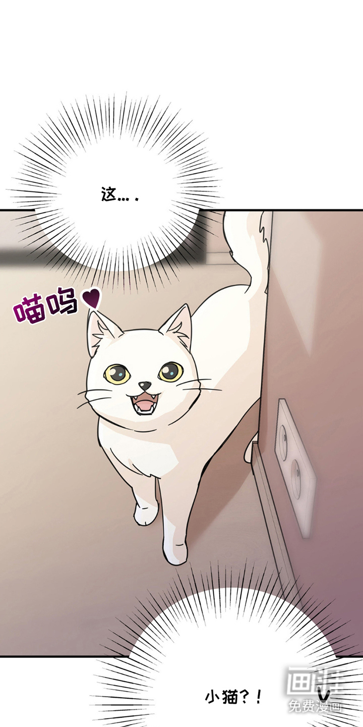 互补人生 第8话 第3页