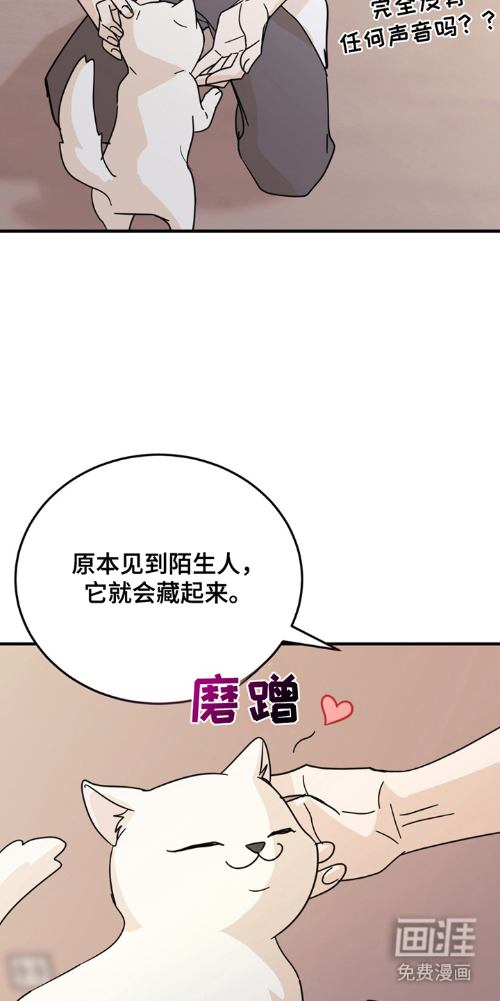 互补人生 第8话 第5页