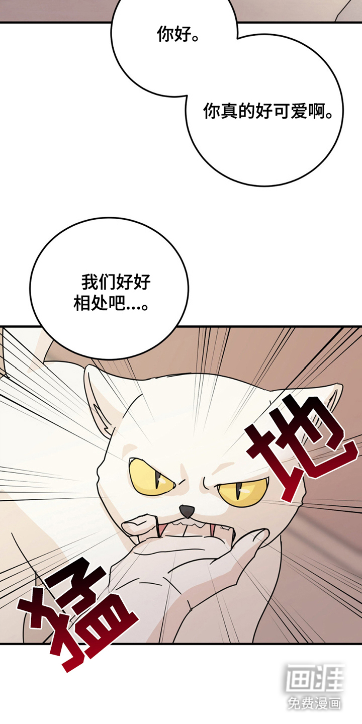 互补人生 第8话 第9页