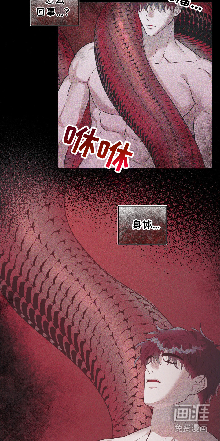 红蛇梦魇第1话图