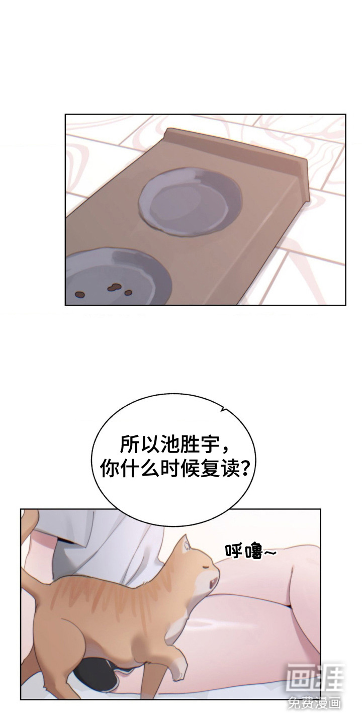 婚礼邂逅第11话图