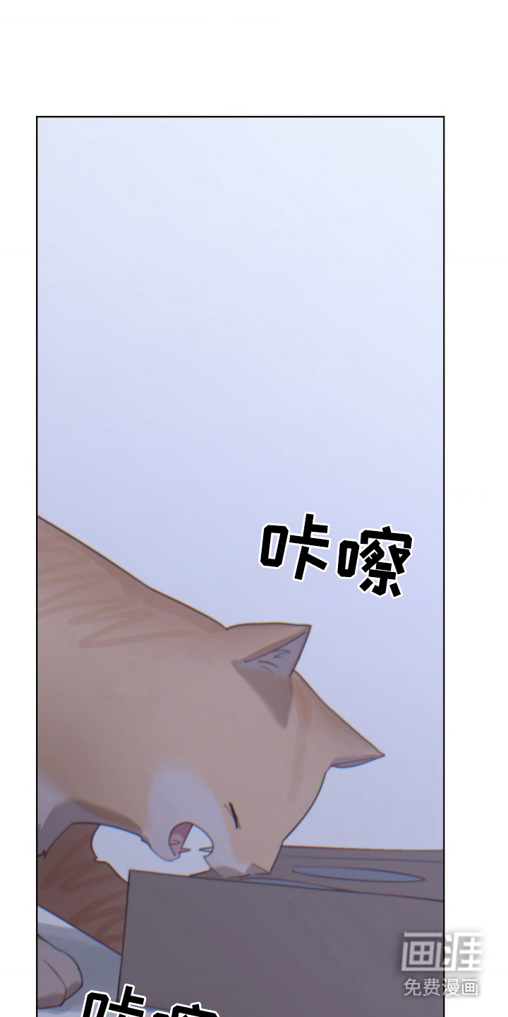 婚礼邂逅第19话图