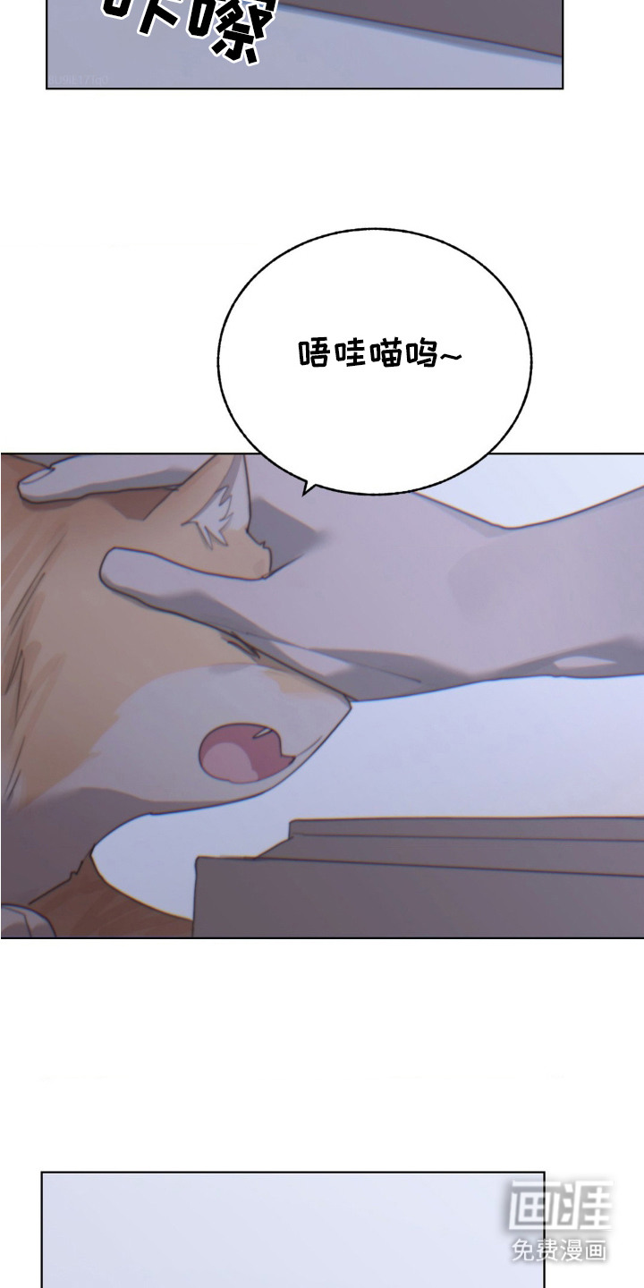 婚礼邂逅第19话图