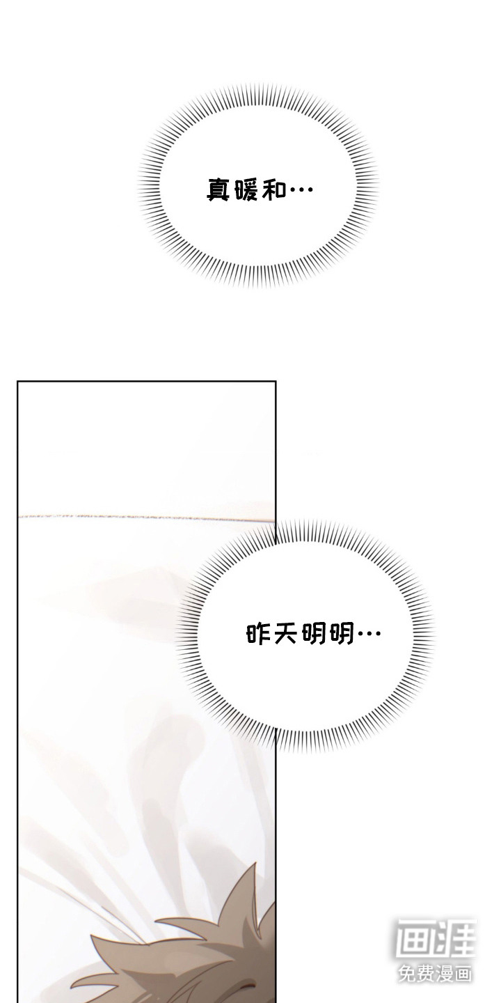 婚礼邂逅第8话图