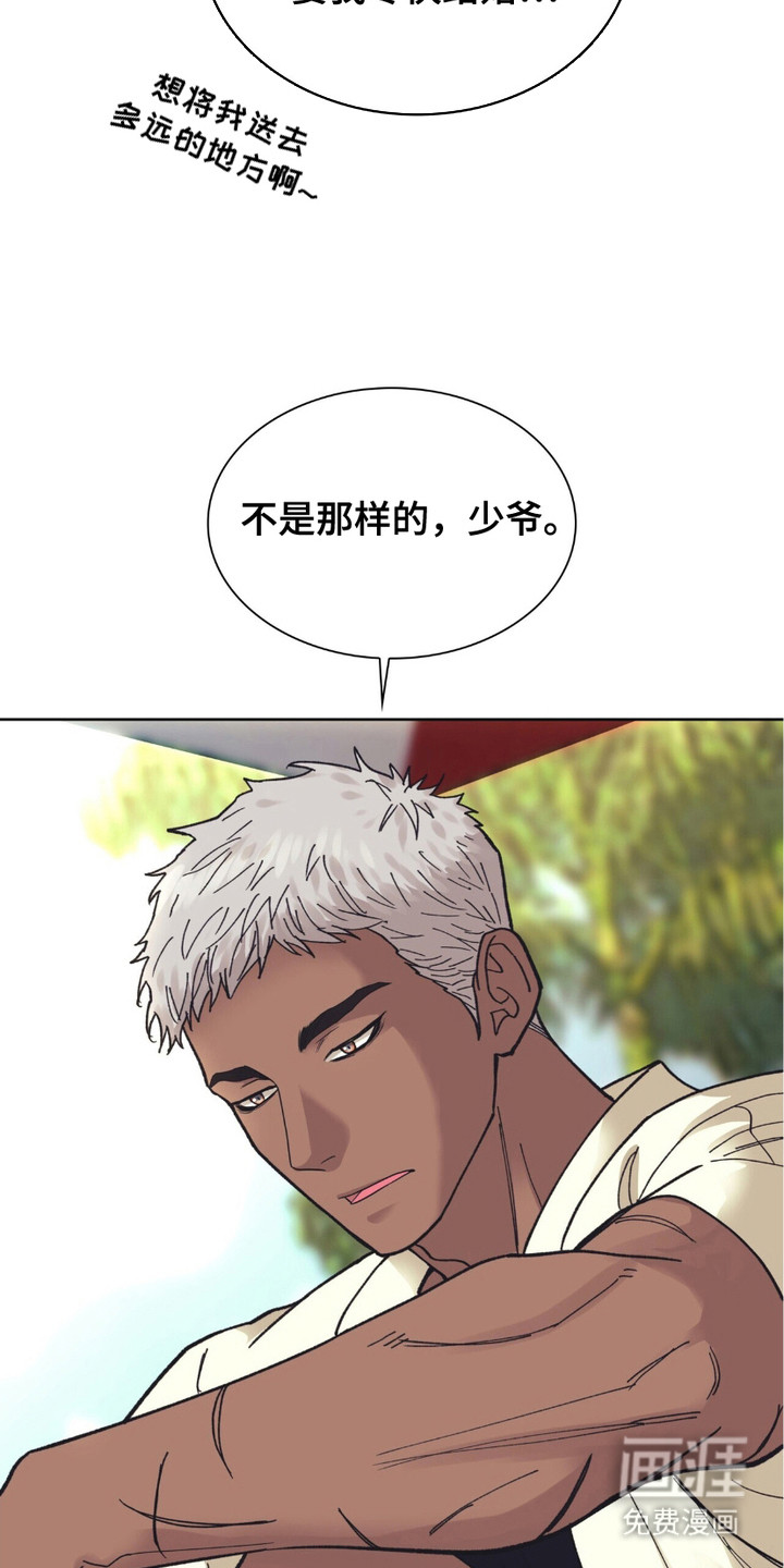 黑皮保镖和少爷第5话图