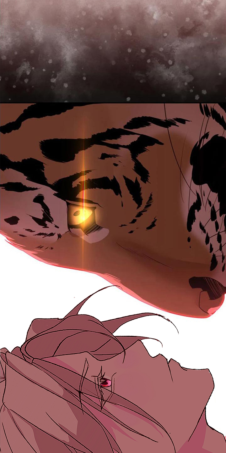 虎患之森 第12话 第4页