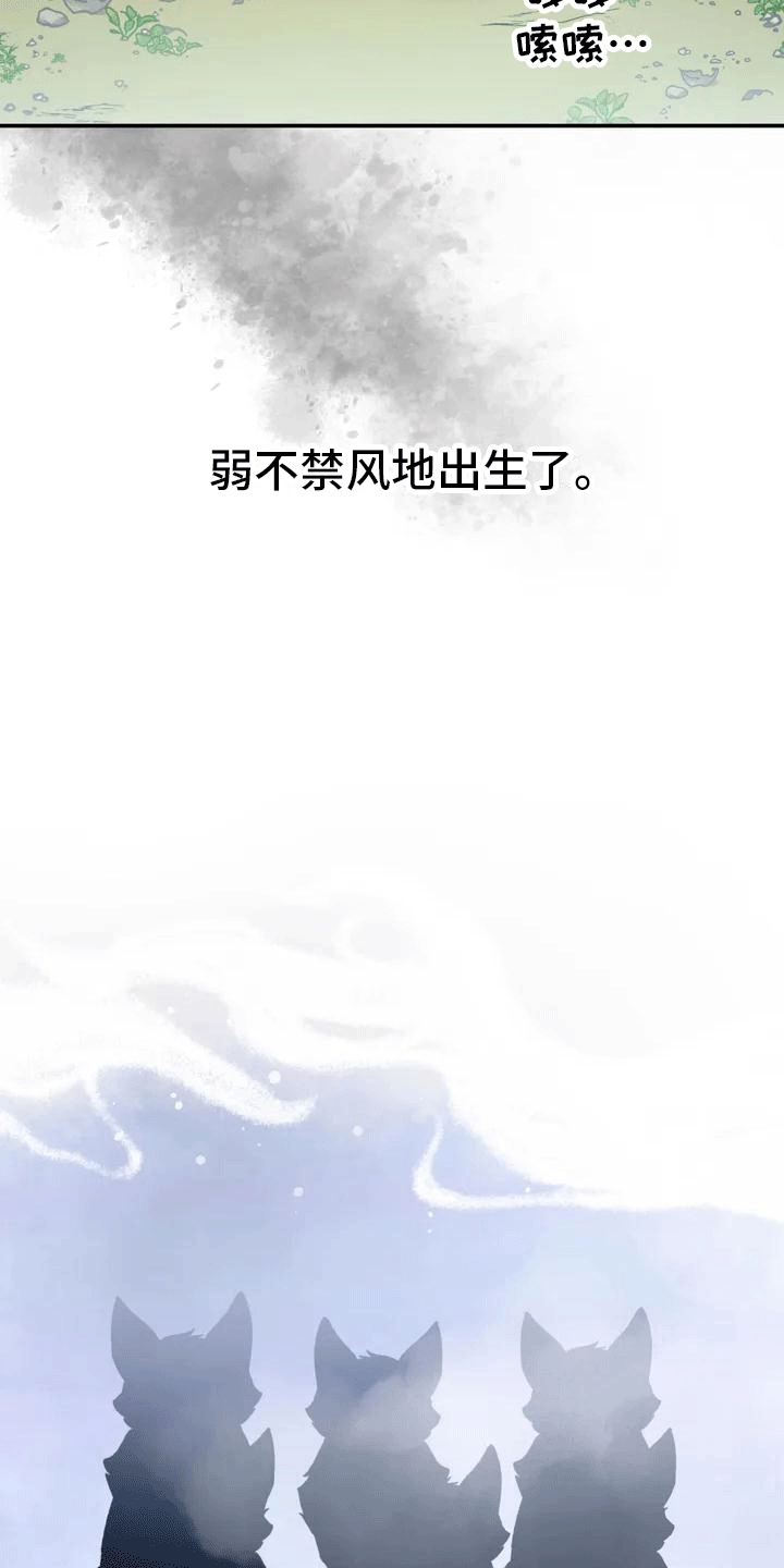 虎患之森 第2话 第17页