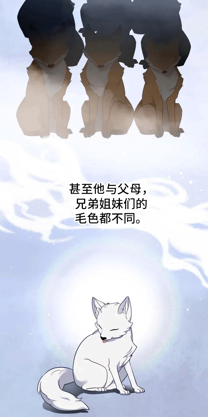 虎患之森第2话图