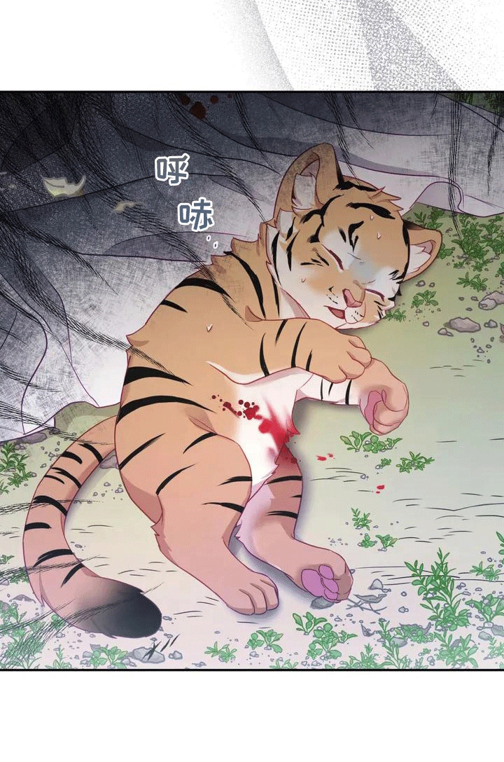 虎患之森第3话图