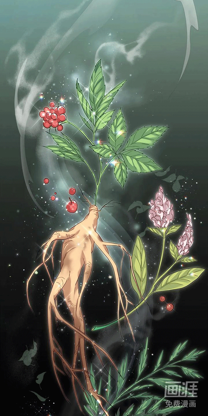 虎患之森 第8话 第37页