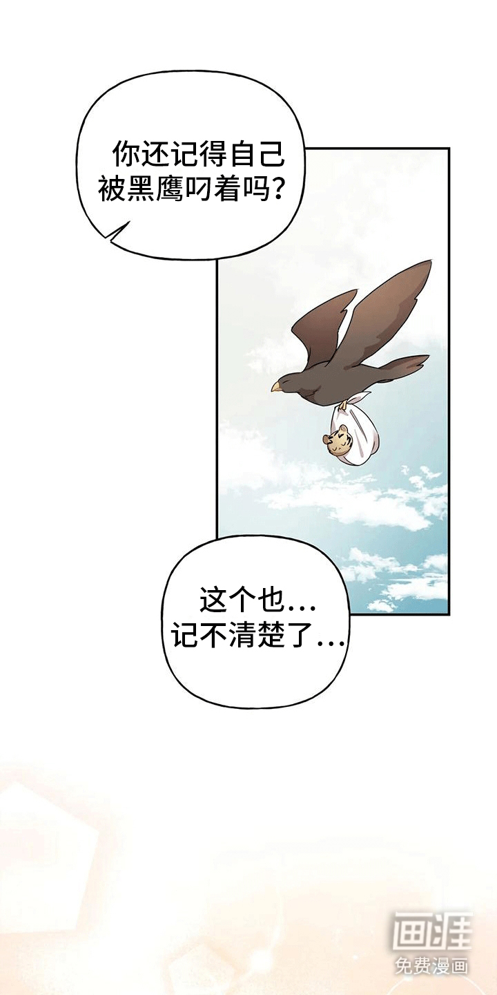 虎患之森 第9话 第12页