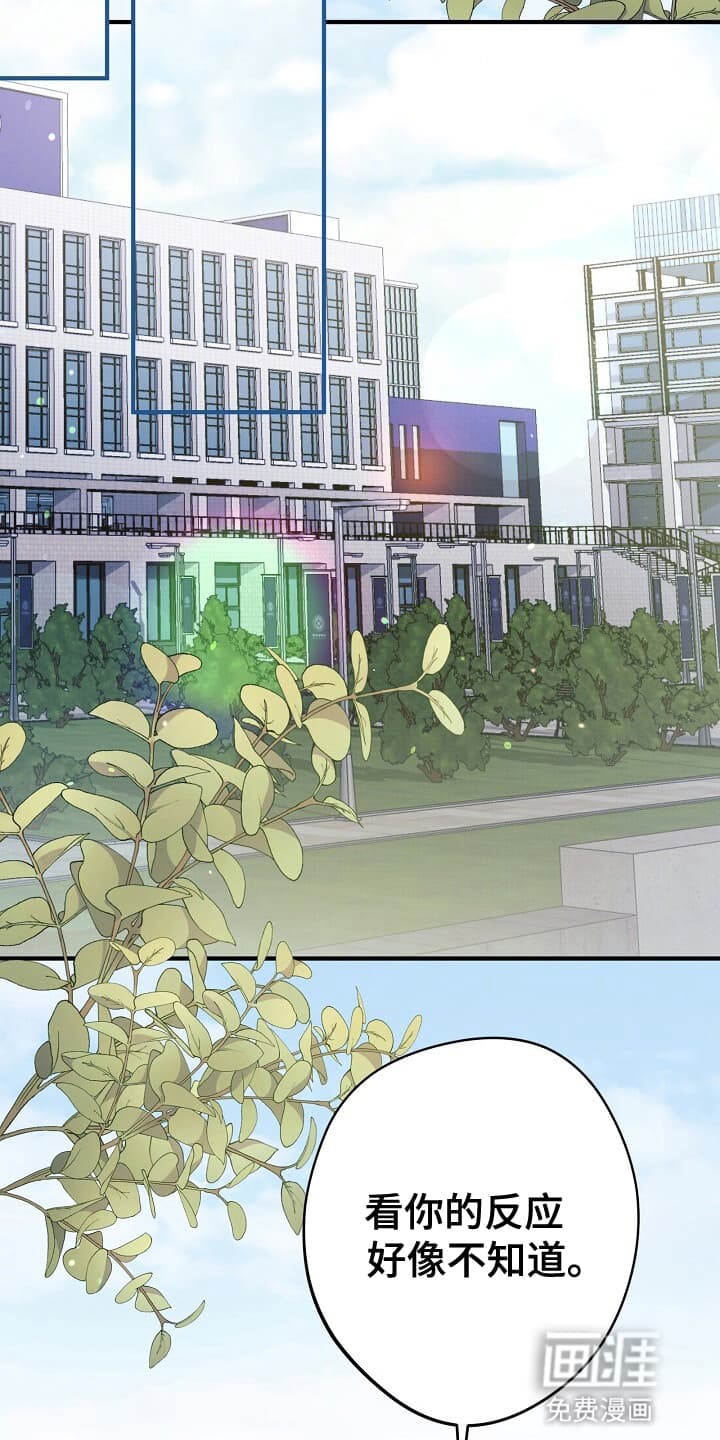 黑道继承人第4话图