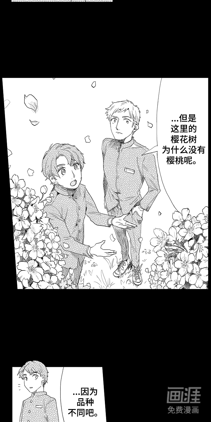 回忆的季节第4话图