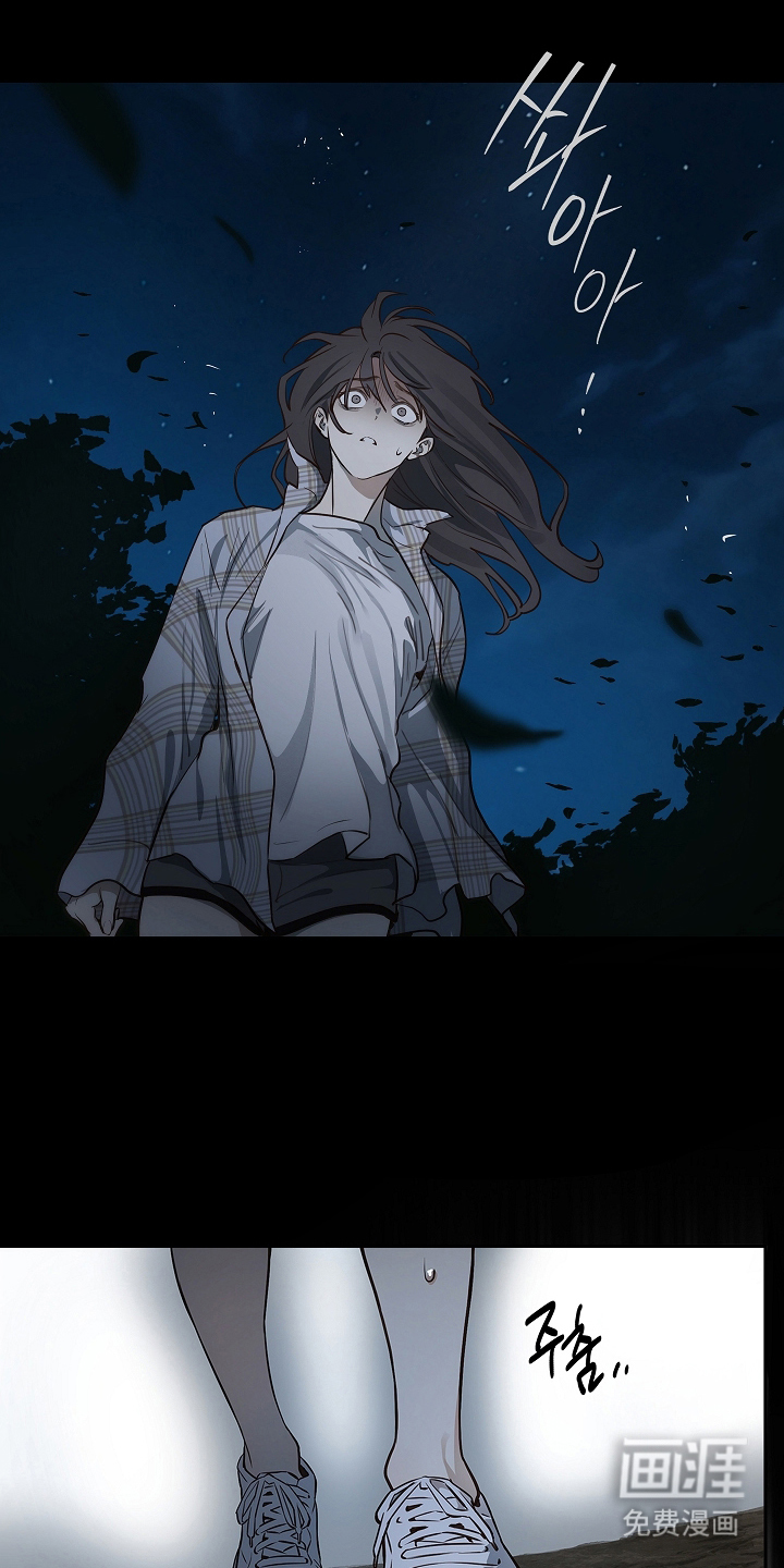 花是诱饵第17话图