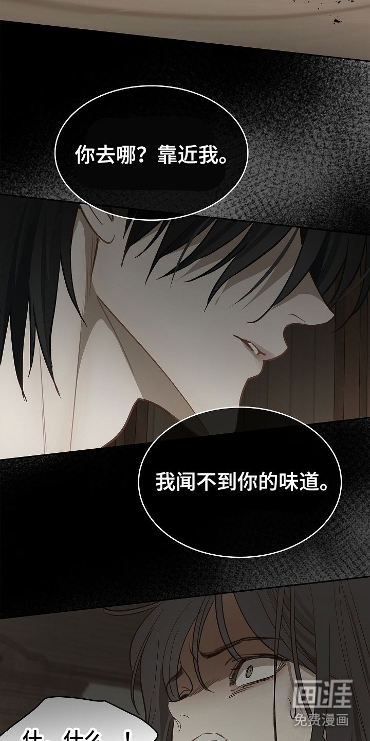 花是诱饵第28话图