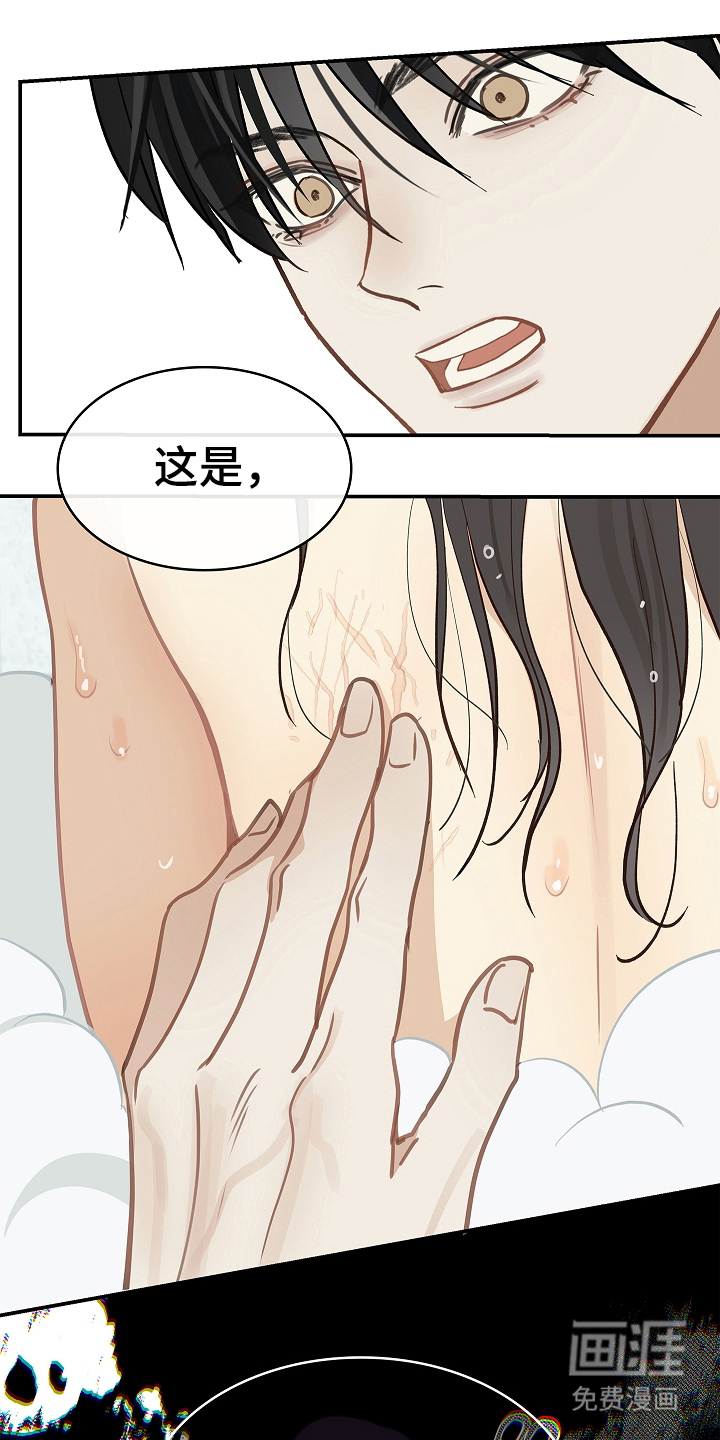 花是诱饵第46话图