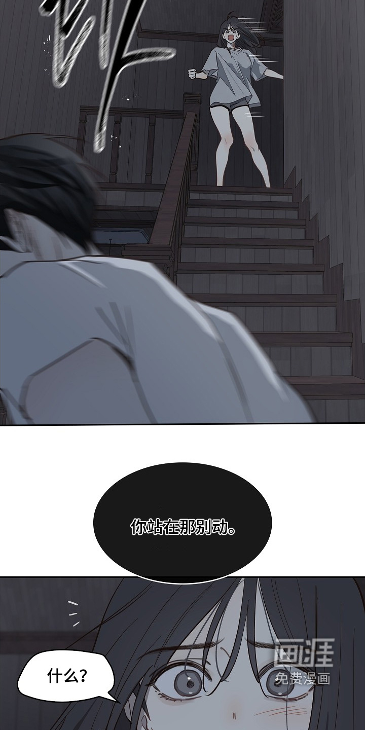 花是诱饵第49话图